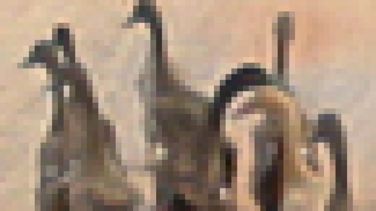 Изображение 3943