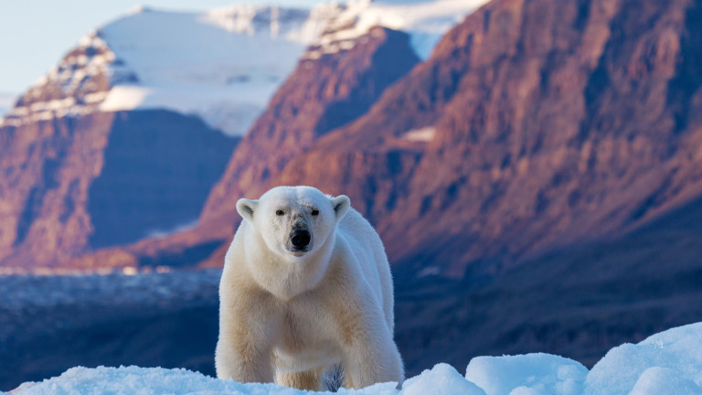 Изображение 744843