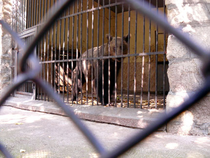 МОСВ спасява нередовни зоопаркове