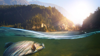 Докато наводнения и суши опустошават различни части от Земното кълбо