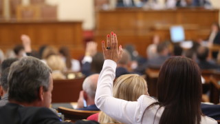 С прегласуване депутатите отхвърлиха промените в Закона за защита от