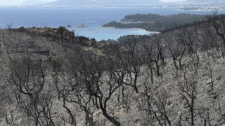 Официален френски представител обяви че двама младежи са задържани по