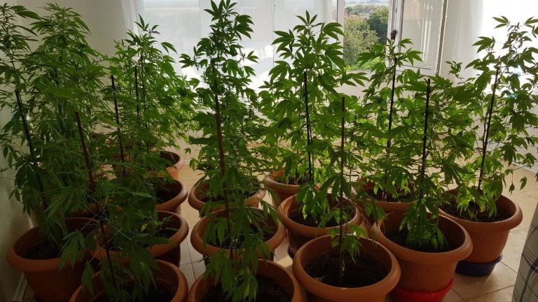 ÐзобÑажение 377143