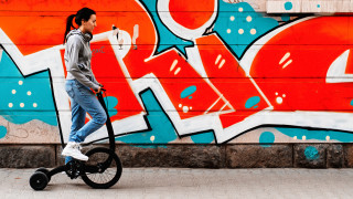 Всичко започва през 2010 г с една скица От нея