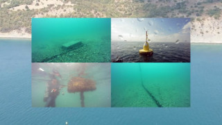 Европрокуратурата откри пясък вместо иновативна ферма за миди край нос Емине