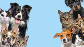 Изминаващата 2023 г оказва се е много плодотворна по отношение