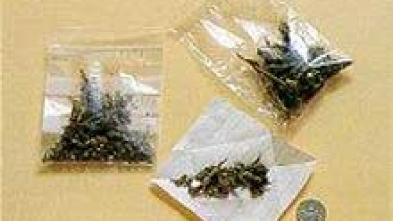 Изображение 7243