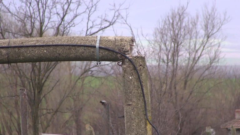 Изображение 747243