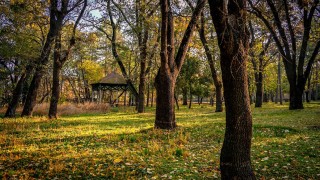 Повече зелени пространства в центъра на София ще бъдат достъпни