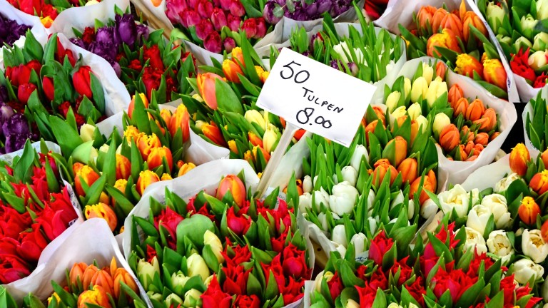 Туристите жертва на измамна схема на известния пазар за цветя в Амстердам