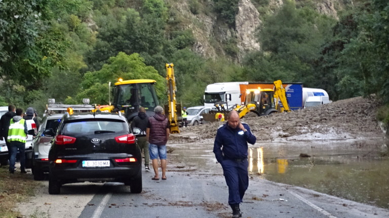 Изображение 497943