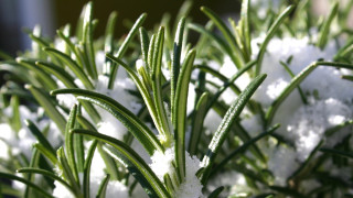 Навлизаме все по дълбоко в есента което означава че съвсем скоро