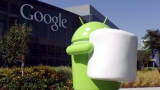 Акционери на Google съдят шефовете на компанията