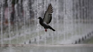 Днес ще бъде предимно слънчево след обяд с временни увеличения