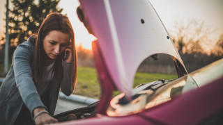 Въпреки че родният автопарк е сред най старите в ЕС данни