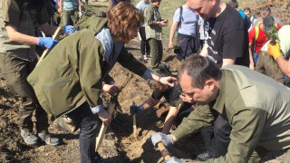 Започна залесяването на изгорелите площи при втория пожар край Стара