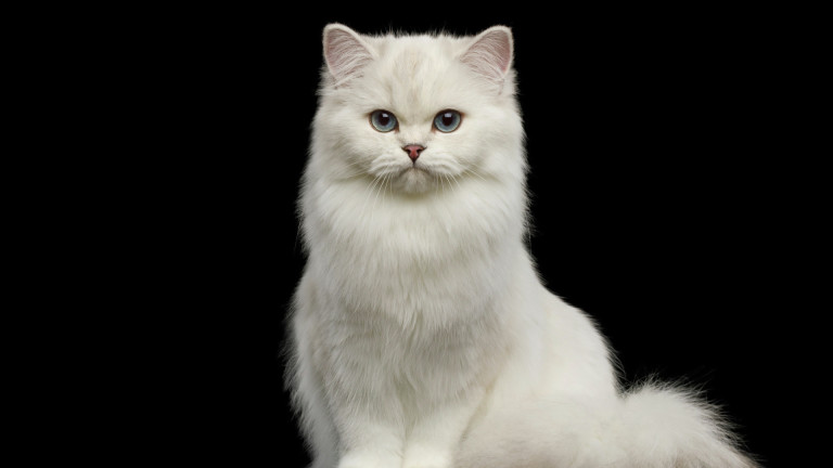 Изображение 631244