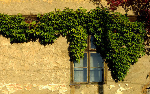 Е.ОН си събира борчовете от починали