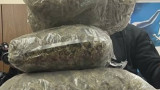  Над 6 кг марихуана, скрита в кутии с коледни сладки, откриха на Министерство на правосъдието 