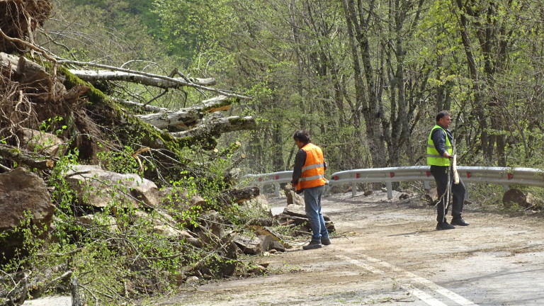 Изображение 361944