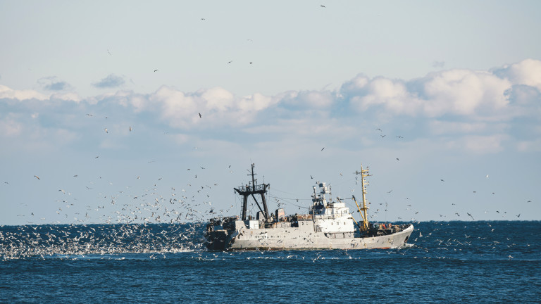 Руският риболовен траулер Амур и японската шхуна Хоко-мару 8 са