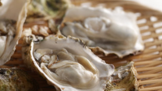 Здравните власти в Югозападна Франция временно забраниха продажбата на стриди