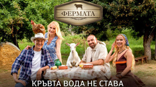 "Фермата" 10 не с един, а с четирима водещи - ето кои са те