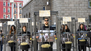 Хора влязоха в клетки пред депутатите: Протест показва скъпо ли е щастието на телетата?
