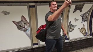 Котки нападнаха Лондонското метро (СНИМКИ)