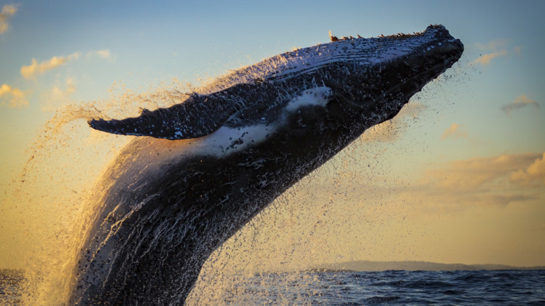 Изображение 633044