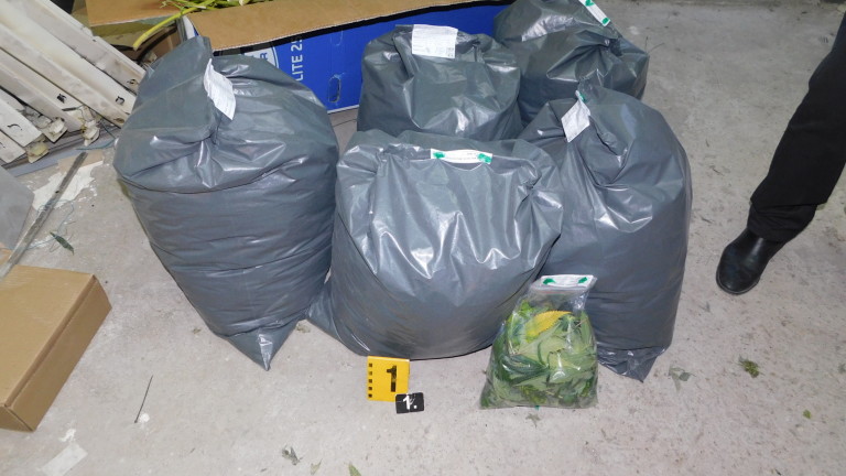 Изображение 413544