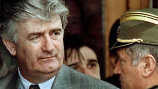 САЩ не са давали гаранции за неподсъдност на Радован Караджич
