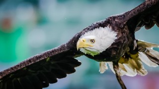 ПФК Лудогорец заминава за Литва в сряда 24 август с