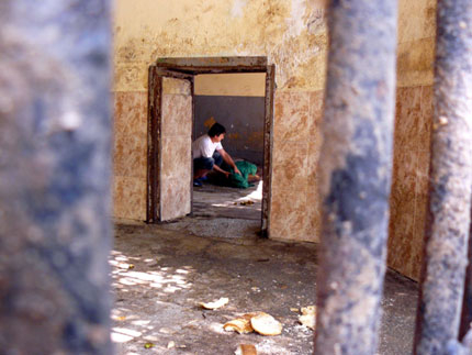 Изображение 85244