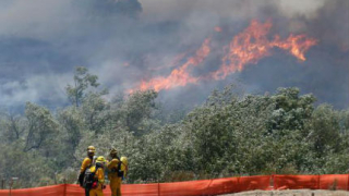 Стотици домове и бизнес сгради унищожени от пожари в Калифорния 