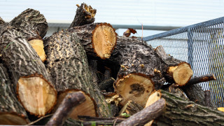 54 годишен жител на град Радомир е обвинен в незаконен добив