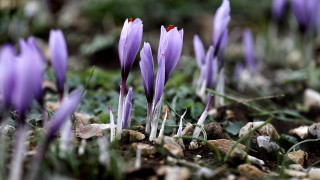 Днес над северозападните райони ще преобладава слънчево време Над останалата