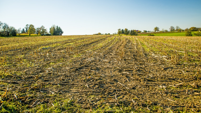 За 5 години селскостопанската земя е намаляла с 2 милиона декара