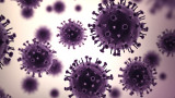  Отменят грипната зараза в областите Бургас, Пловдив и Хасково 