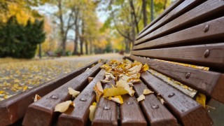 Предимно слънчево, вятърът отслабва