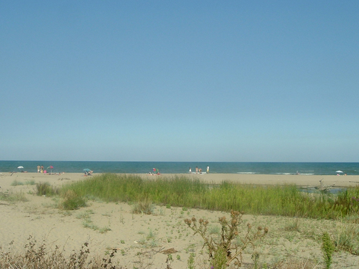 Москва строи край Камчия летен лагер