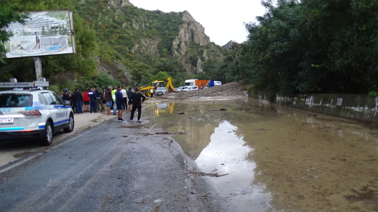 Изображение 497944