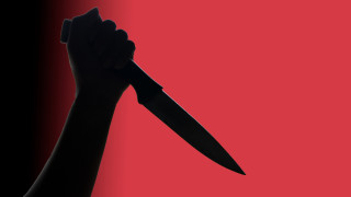 След като изучава деца отглеждани в сиропиталища и други институции