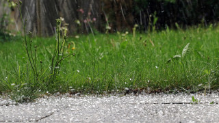 Силна буря и градушка удариха Кюстендил съобщава БТА Бурята се