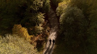 Вятърът ще отслабне и в много райони ще стихне сутринта