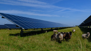 Румъния инвестира над €100 милиона за зелена енергия в земеделието