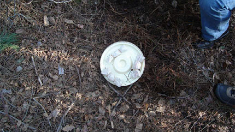 Изображение 19444