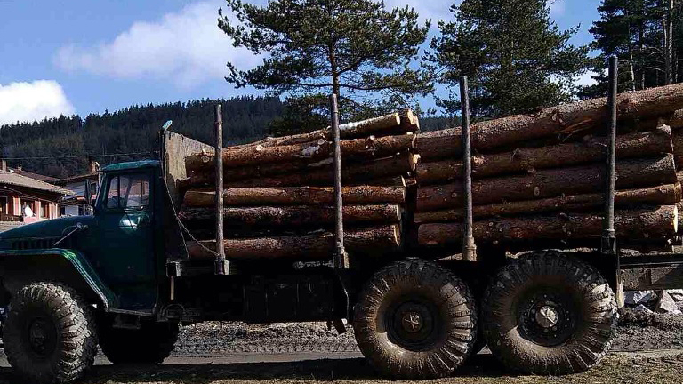 5 300 проверки за една седмица извършват горските инспектори