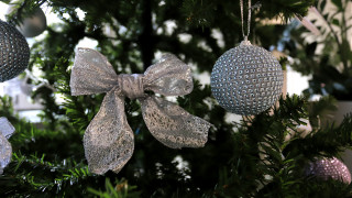 Коледната елха на площад Свети Петър във Ватикана бе тържествено