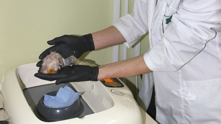 Изображение 691245